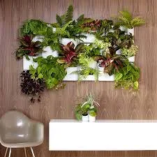 Indoor Living wall