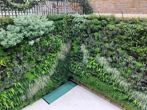 outdoor living wall