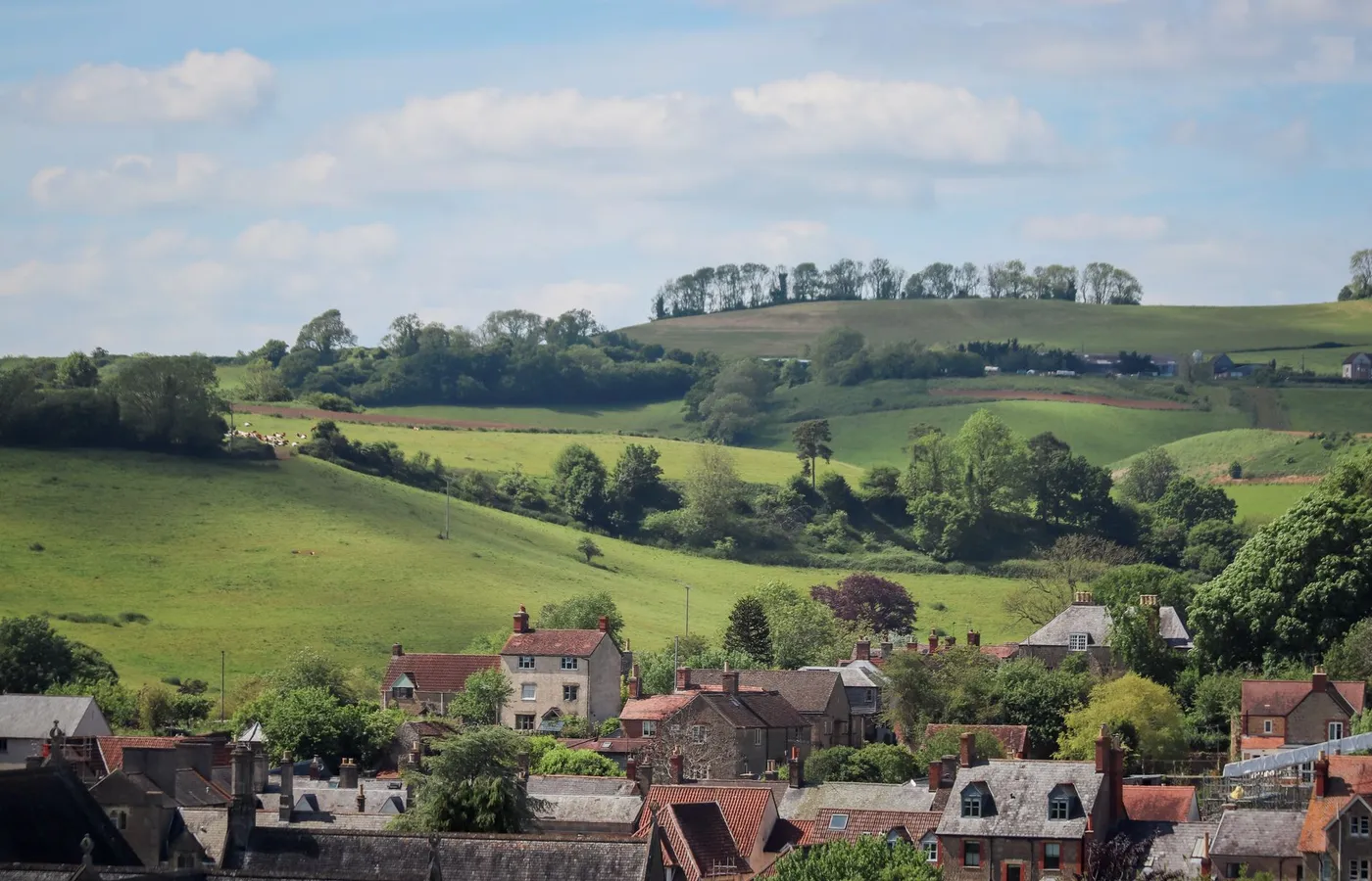houses to rent in ballymena