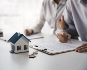 property listings