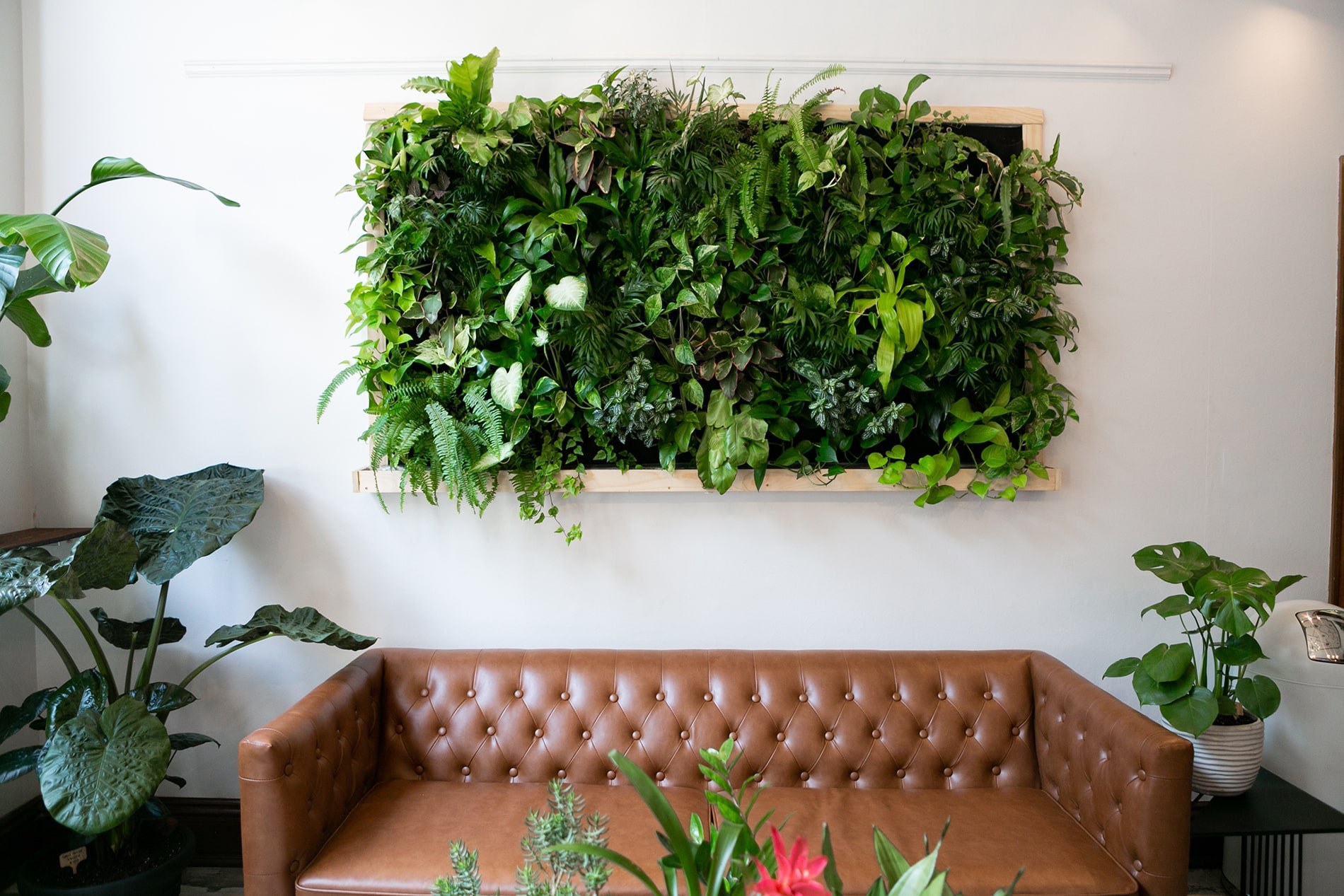 Living Wall Indoor