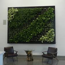 Living Wall Indoor  