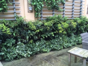 outdoor living wall