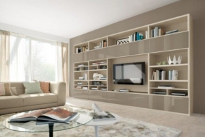 A Living room wall unit