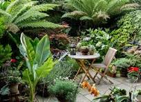 Garden design ideas