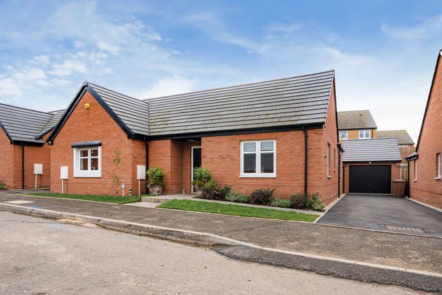 Investment Opportunities in Drakes Broughton
